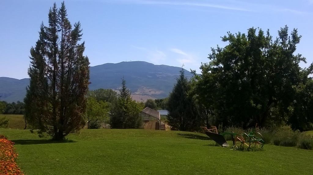 Hotel Agroturism Stara Stala Borut Exterior foto