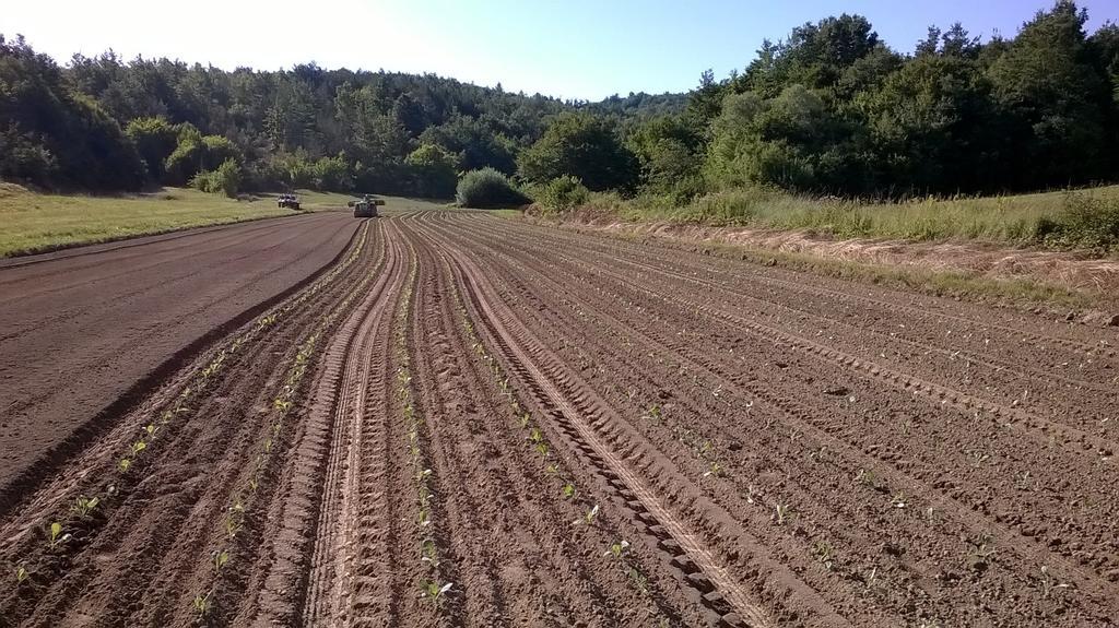 Hotel Agroturism Stara Stala Borut Exterior foto