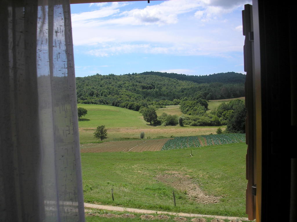 Hotel Agroturism Stara Stala Borut Habitación foto