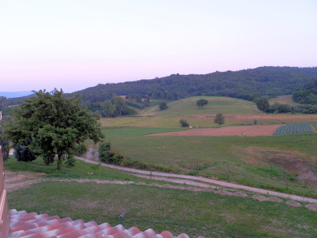 Hotel Agroturism Stara Stala Borut Habitación foto